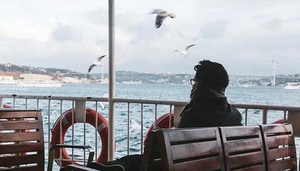 樱花动漫小抄：看热度是不是放大偏差→做把对象写具体→不费劲但管用